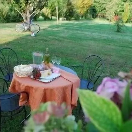 Bongiovanni 4*
