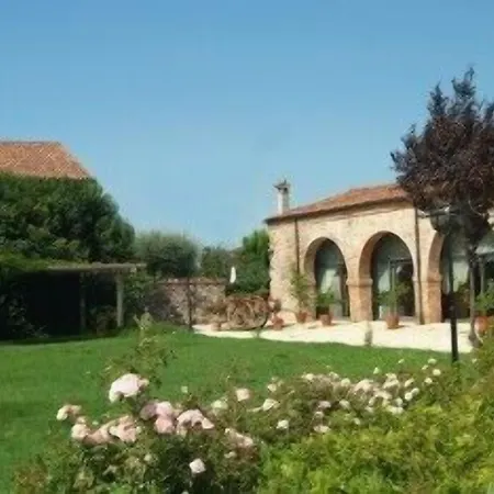 Bongiovanni 4*