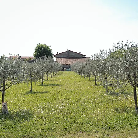 Bongiovanni 4*